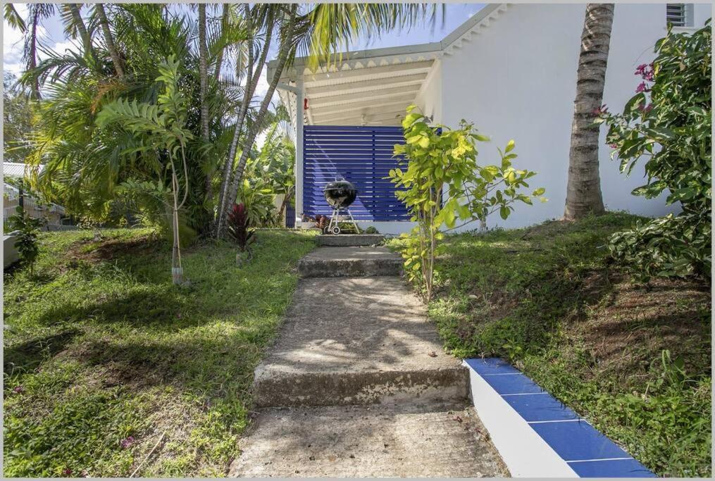 Villa Mango 150 Metres Plage A Pied サント・リュス エクステリア 写真