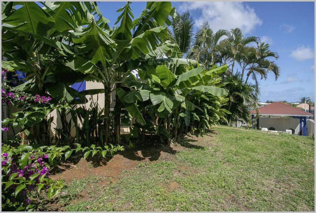 Villa Mango 150 Metres Plage A Pied サント・リュス エクステリア 写真