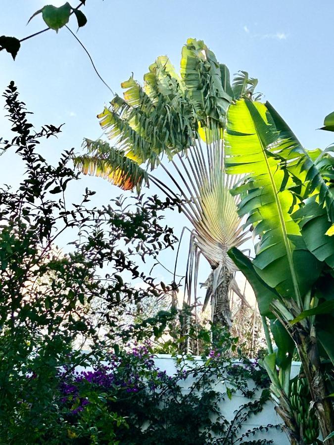 Villa Mango 150 Metres Plage A Pied サント・リュス エクステリア 写真